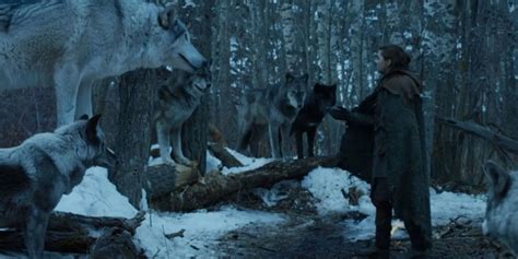 game of thrones warg|More.